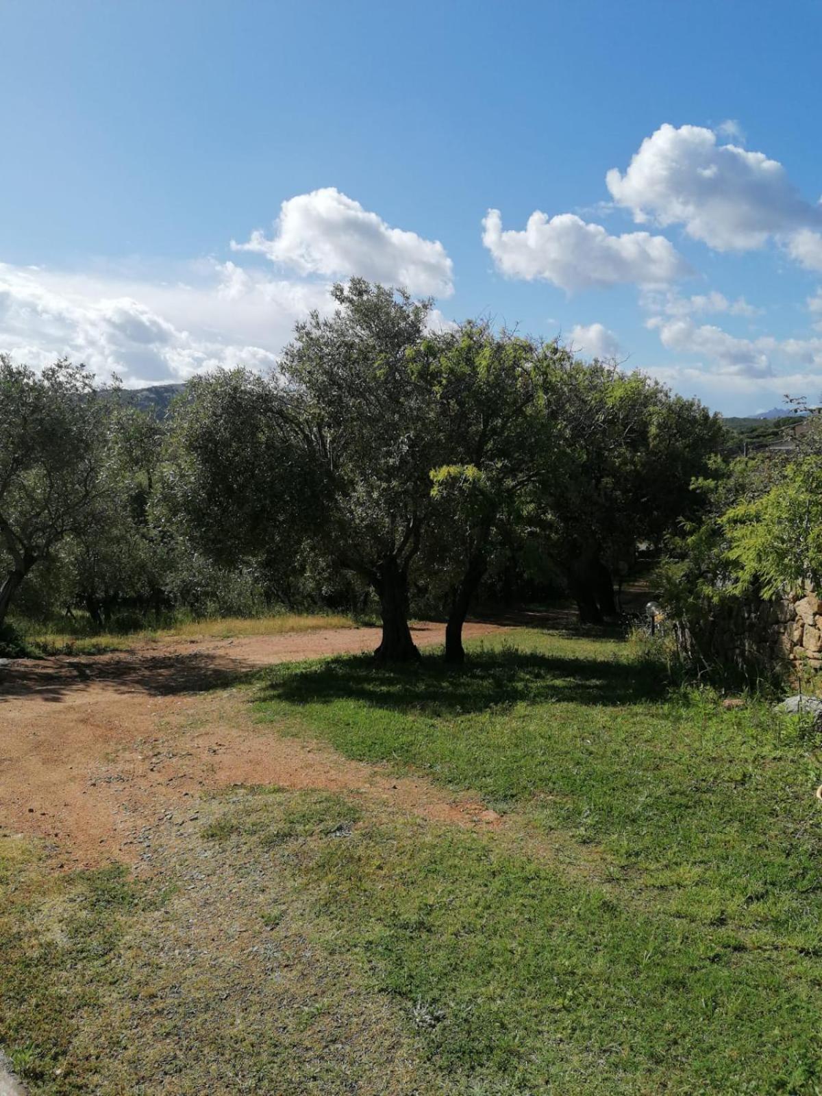 Casa Orecchioni Arzachena Esterno foto