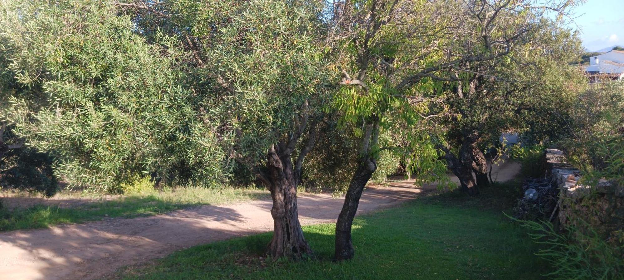 Casa Orecchioni Arzachena Esterno foto